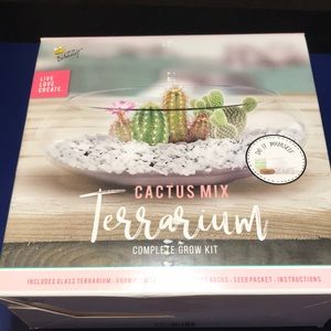DIY CACTUS MIX TERRARIUM